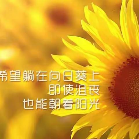 花开“疫”散，“净”待春来