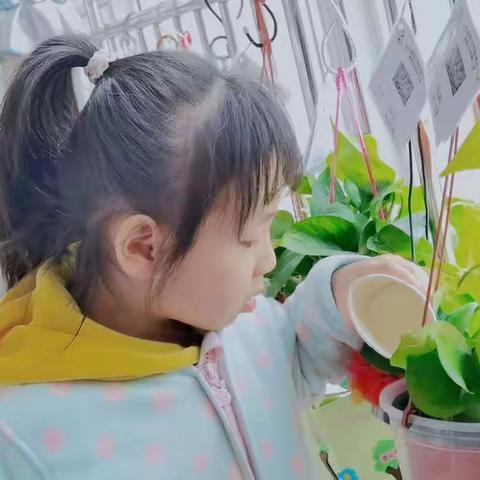 春风三月，快乐成长