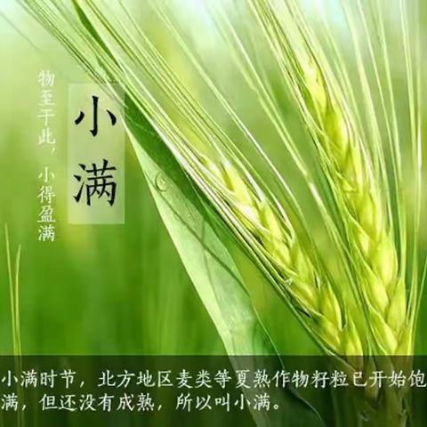 小满未满——小得盈满