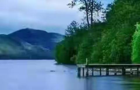 诗情画意学和诗 七绝(2022.11）