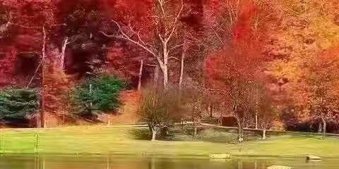 诗情画意学和诗 七绝(2022.12）