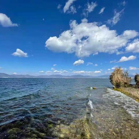 诗情画意学和诗 七绝 (2022.2）