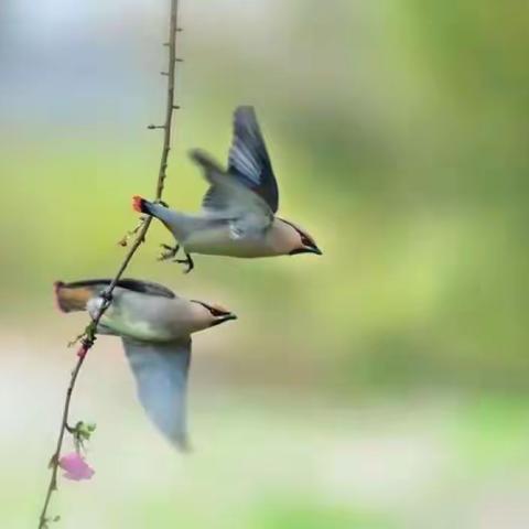 诗情画意学和诗 七绝(2022.9)