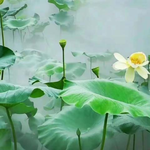 诗情画意学和诗 七绝(2022.8）