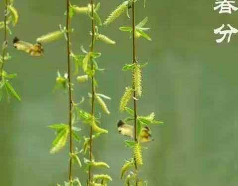 诗情画意学和诗 七绝(2023.3）