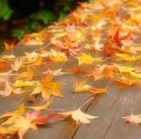 诗情画意学和词《忆秦娥》2021.10