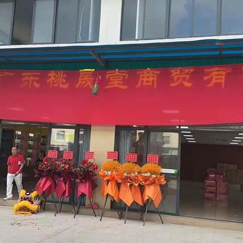 广东桃晟堂商贸有限公司盛大开业