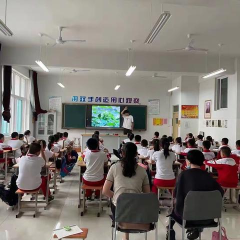 “音”你而“美”，“体”生魅力——奎聚小学音体美教学