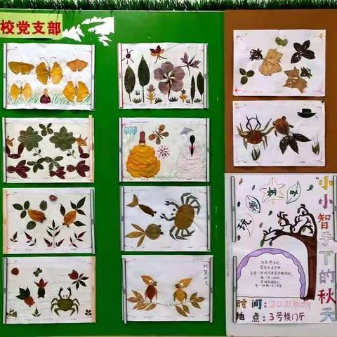 学数学、爱数学、用数学——世纪学校（小学）“数学艺术节”