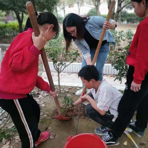 隆回县高平镇中心小学开展植树节活动