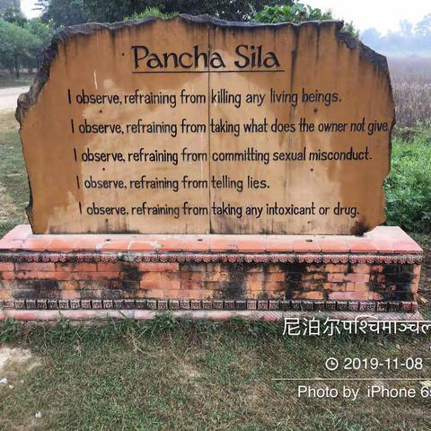 尼泊尔游览蓝毗尼园（照片拍摄时间2019/11/08）