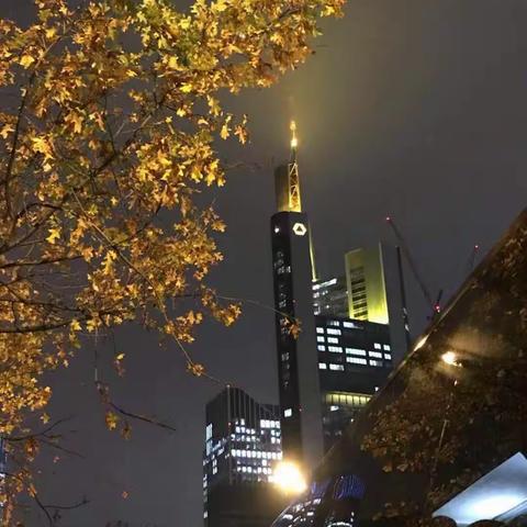 德国🇩🇪法兰克福掠影（照片拍摄于2018年11月14日）