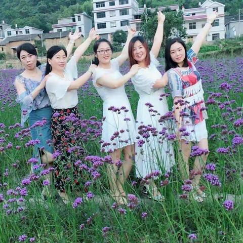 五朵金花集锦