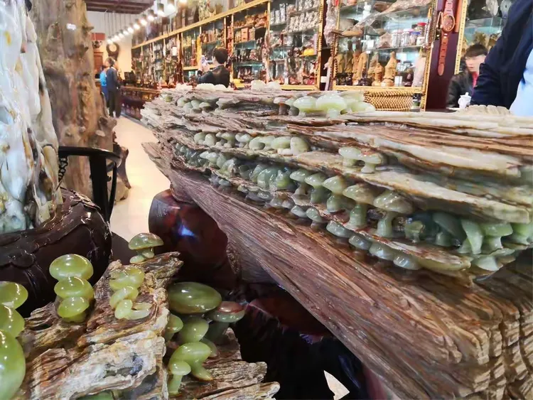 看到过树包玉吗，这里就是呀！