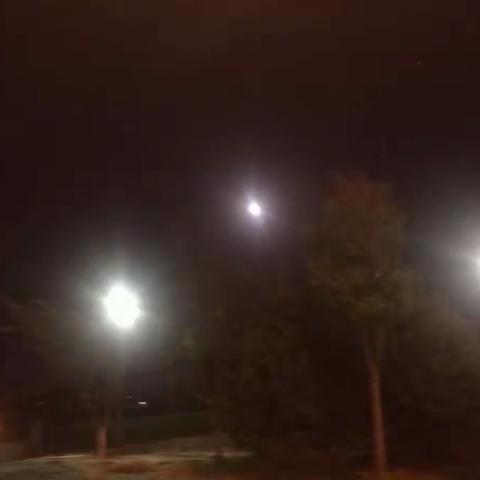 磨砺前行，永不停歇的城管人