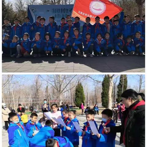 石家庄市北郡小学植树活动掠影