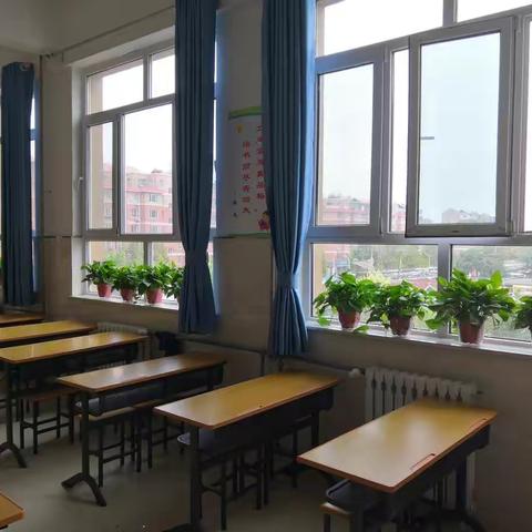 北郡小学“创城”在行动