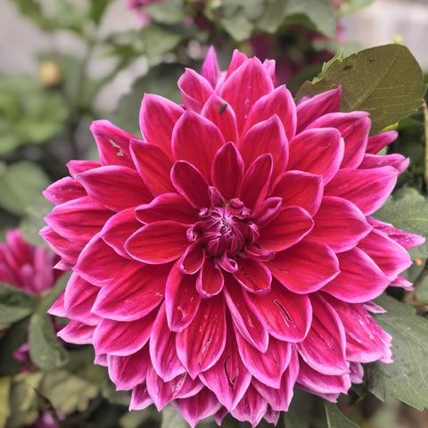 2025暑假8.16日，丽江观音峡