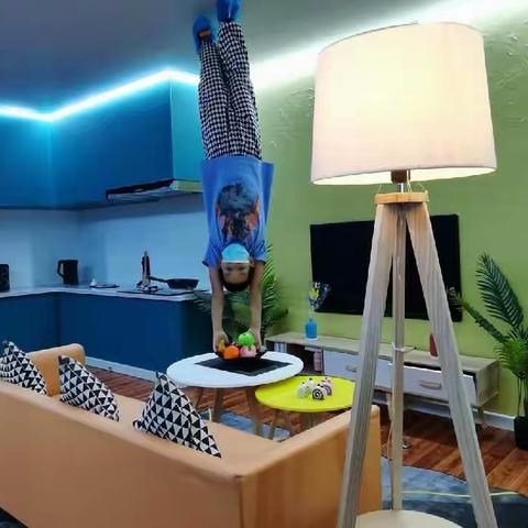 颠倒实验室的半天