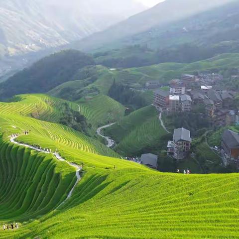 龙脊梯田景区