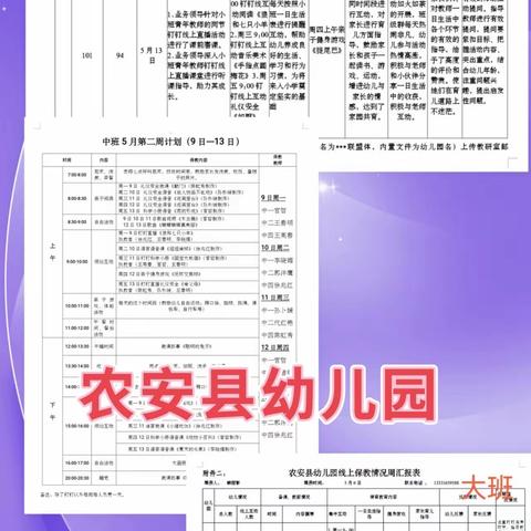 云端助力 筑梦幼教———农安县第二十二督学责任区督导工作纪实（五）