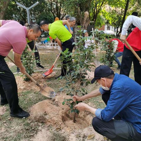 播撒绿色，美化桃源---桃源社区联合10家共建支部开展植树活动