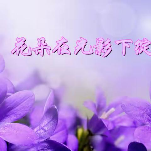 花朵在光影下绽放