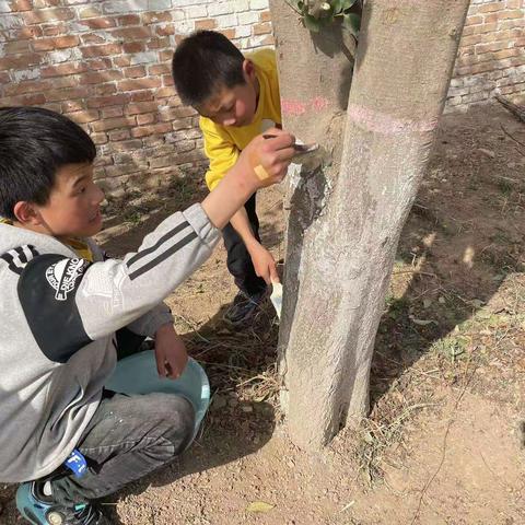 我给小树穿新装 小树陪伴我成长 ——东升小学植树节活动小结