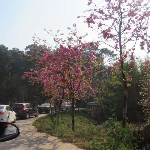 马龙区旧县中心校三八“女神节”活动剪影