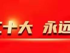 不负时光，奋发向上——平山县外国语中学七年级29班风采展示