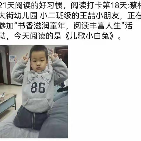 蔡村大街幼儿园小二班21天阅读打卡记录