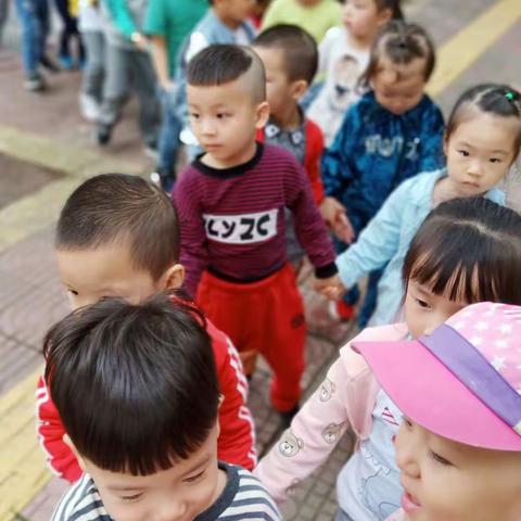 周三大自然教学活动《我可以》目标:联系对肢体的控制，增进肢体的协调性。