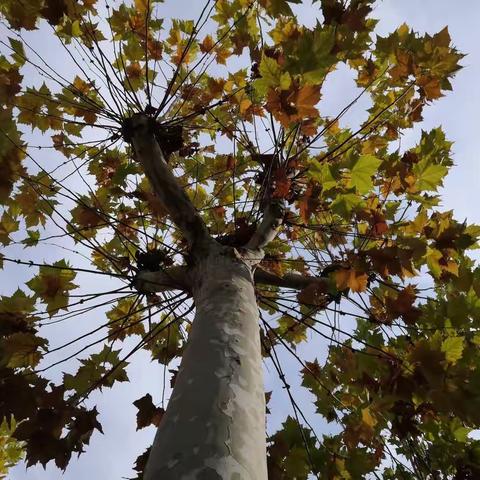 【强镇筑基滨湖镇】“重”上讲台，挥洒教坛风采——致敬滨湖中学全体教职工