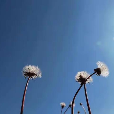 【强镇筑基滨湖镇】心存希冀  目有繁星 ——致滨湖中学24位班主任老师