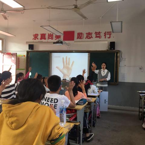 小英小学数学教研活动——公开课《植树问题》