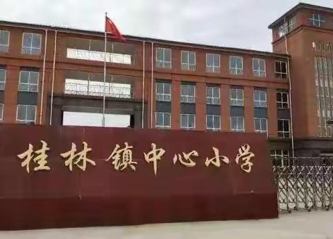 幼小衔接待花开，科学发展见未来——桂林镇中心小学幼儿部幼小衔接活动