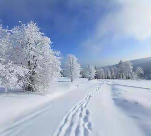 雪知道