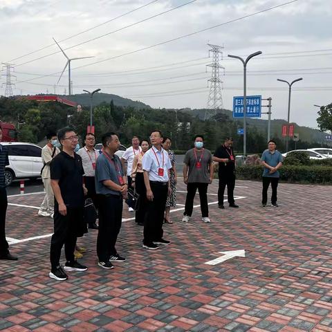 区人大代表视察“四好农村路”建设工作