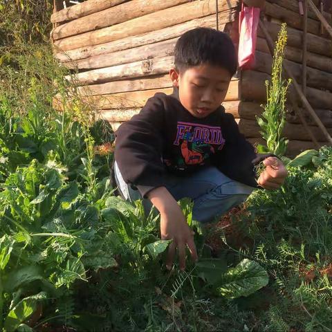 “正是成长好时节”——玉溪第四小学四年级（1）班   毕然   2021年寒假实践活动