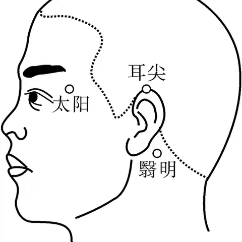 《一滴淤血的出走：重塑健康新状态》