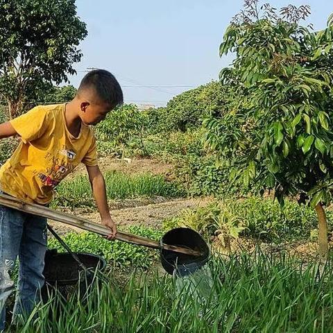 劳动提升素质 实践放飞梦想——博白县三滩镇良茂村小学开展学农社会实践活动