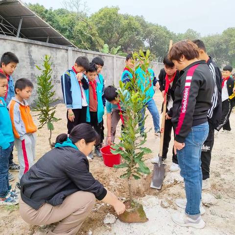 春光无限好，植树正当时🌱