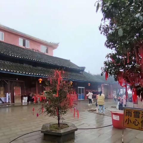 带孙女孙子赏金鼎冰雪