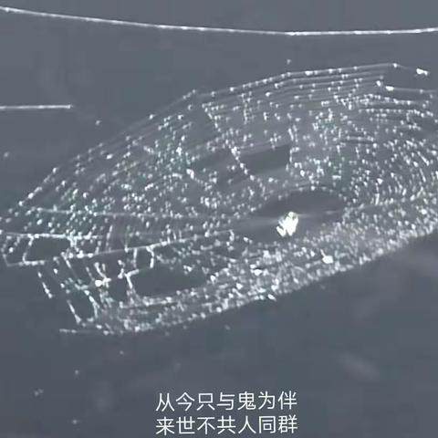 春殇