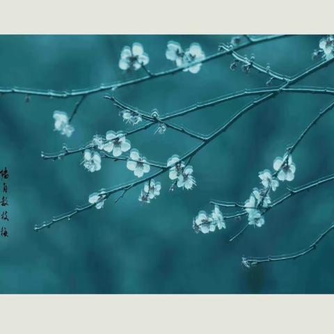 后期调色作业