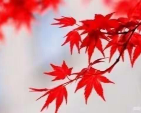 【思念】吕其华