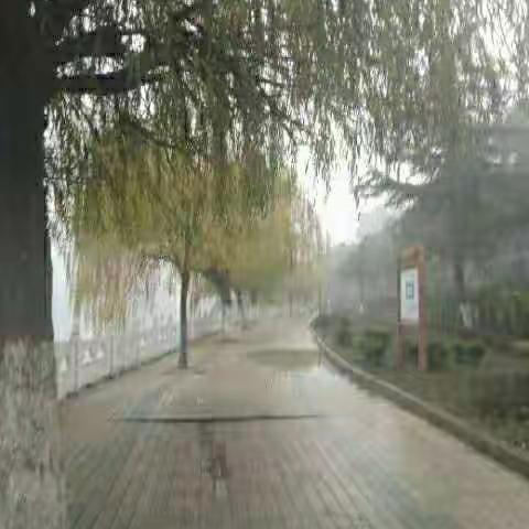 【思念】吕其华