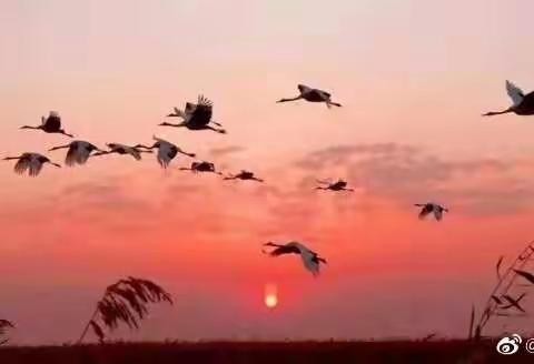 【初冬】吕其华