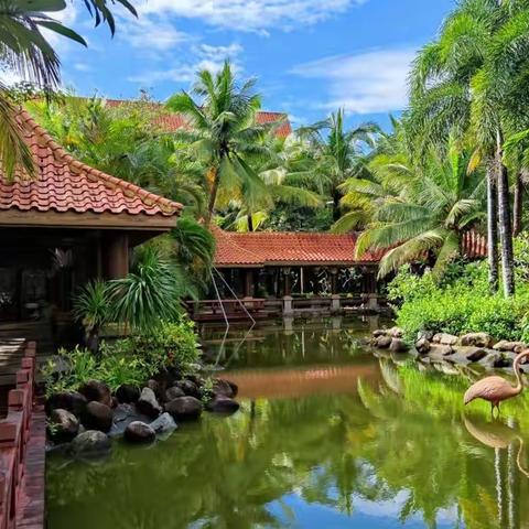 全国总工会海南三亚南田好汉坡温泉国际度假酒店休养（2021.10.8----10.13）