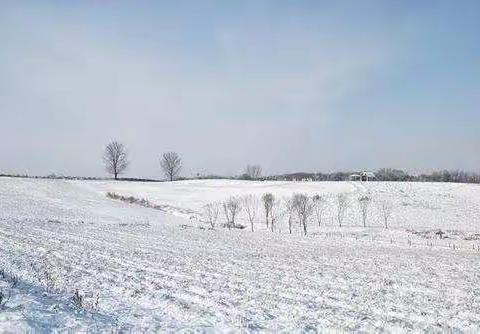 天降大雪封村路，少年担当在行动——清水河乡实验小学一年级全体师生扫雪活动